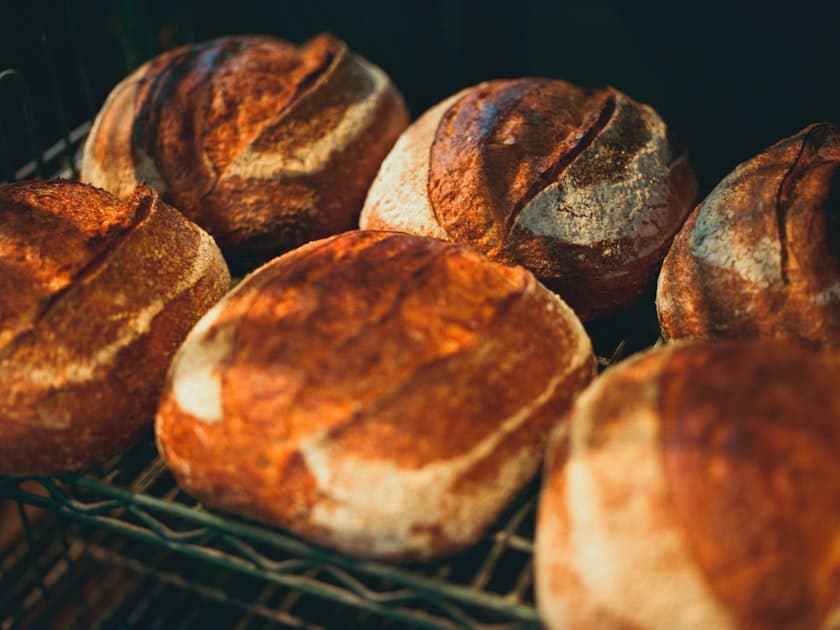 Rustic sourdough loaves with golden crusts on a bakery rack